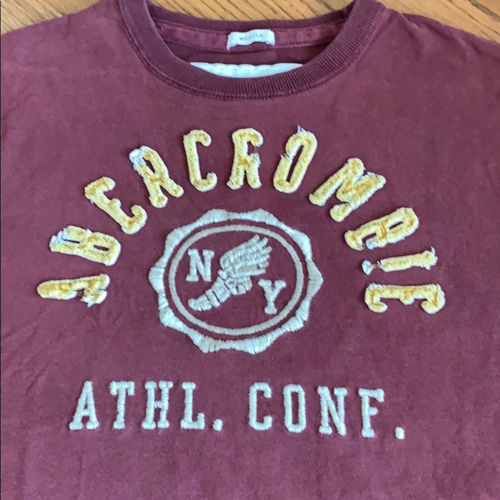 Abercrombie and Fitch Muscle Tee Lg Man Shirt